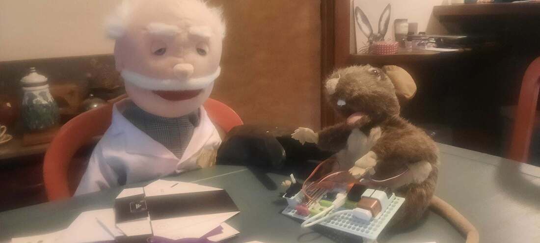 Dr. Fizz and Boomer creating their next great invention.