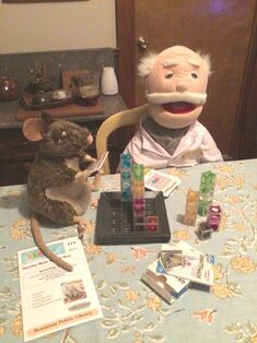 Boomer and Dr. Fizz playing with the Gravity Maze Falling Marble Logic Game.